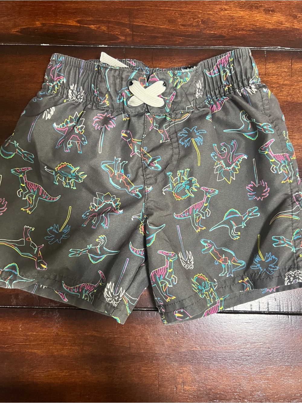Carter's Gray Swim Trunks with Neon Dino Print